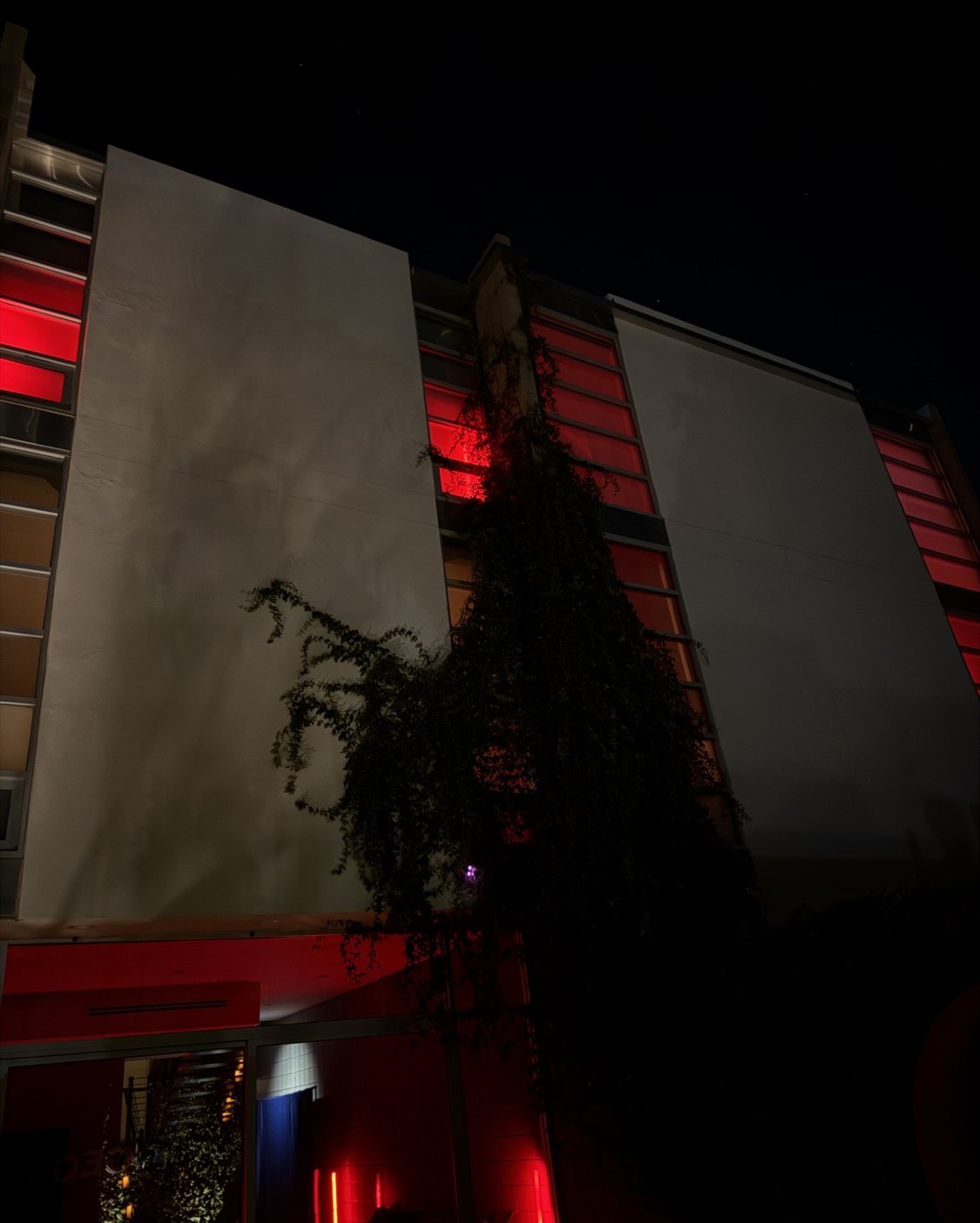 A white facade at night, windows glowing red behind a climbing vine